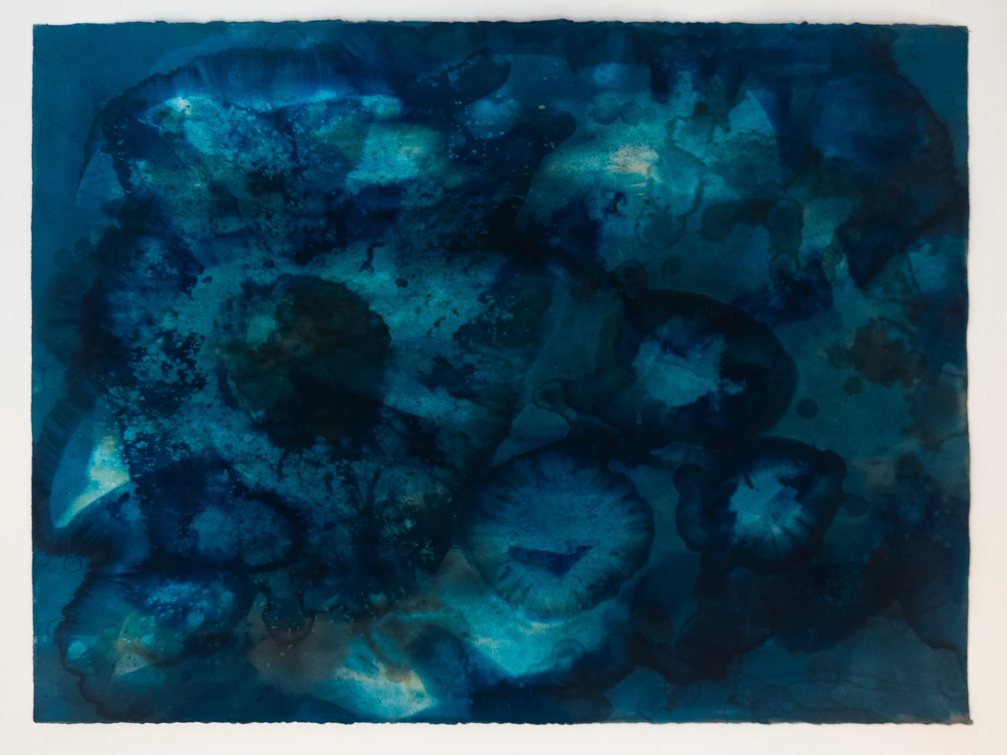 Radiating salt blooms scattered across a wide blue field, each ringed by a paler halo where the crystals drew moisture outward.
